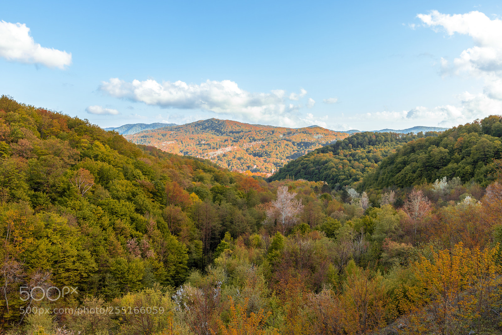 Canon EOS 6D Mark II sample photo. Forest on a hill photography