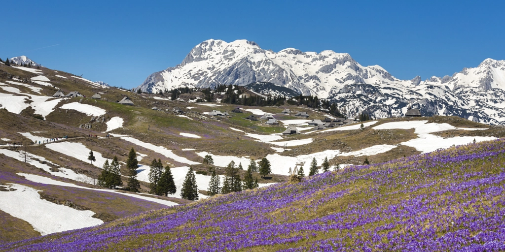 Velika Planina by Jure Batagelj on 500px.com