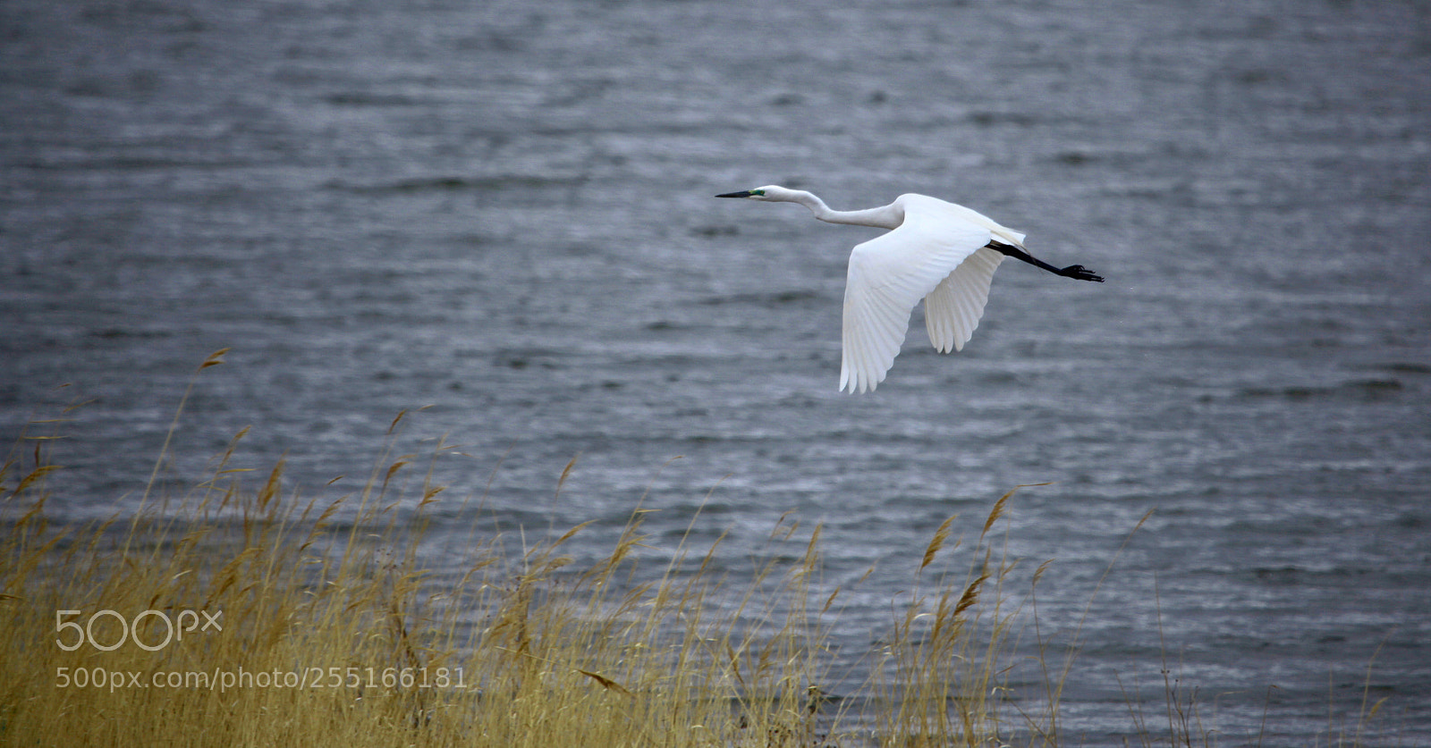 Canon EOS 5D Mark II sample photo. Untitled photography