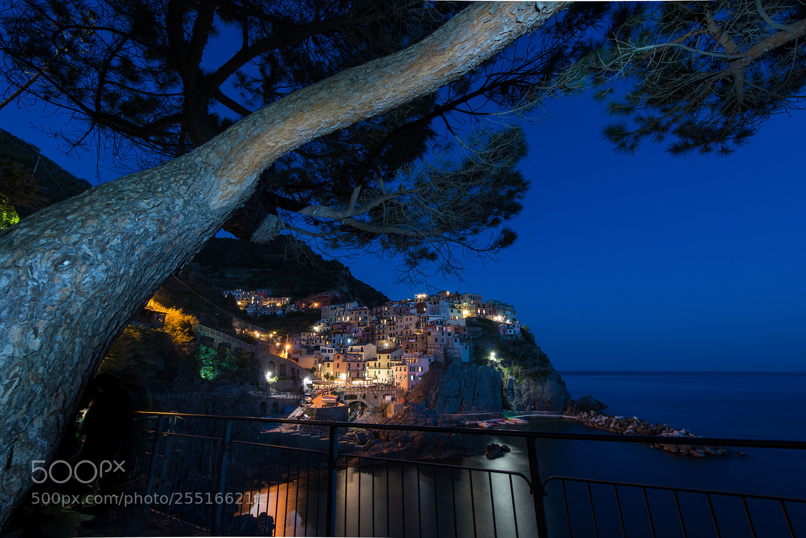 Nikon D800 sample photo. Manarola photography