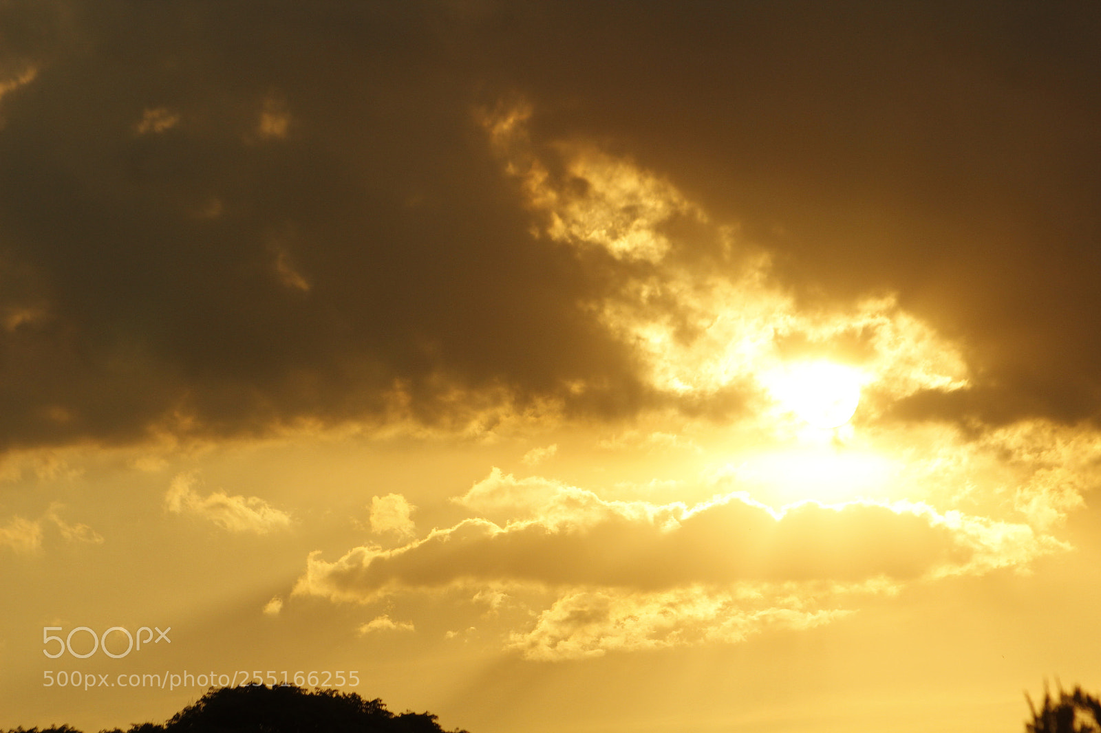 Canon EF 75-300mm f/4-5.6 sample photo. Mg photography
