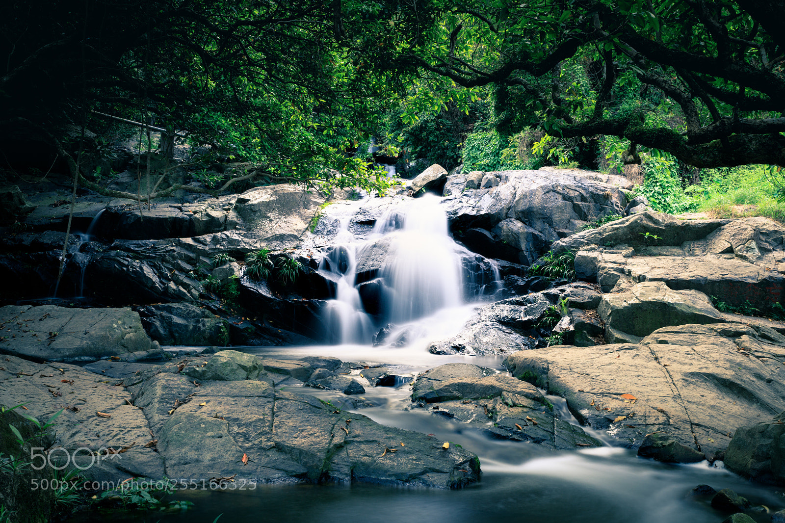 Canon EOS 6D Mark II sample photo. Water fall in hk 02 photography
