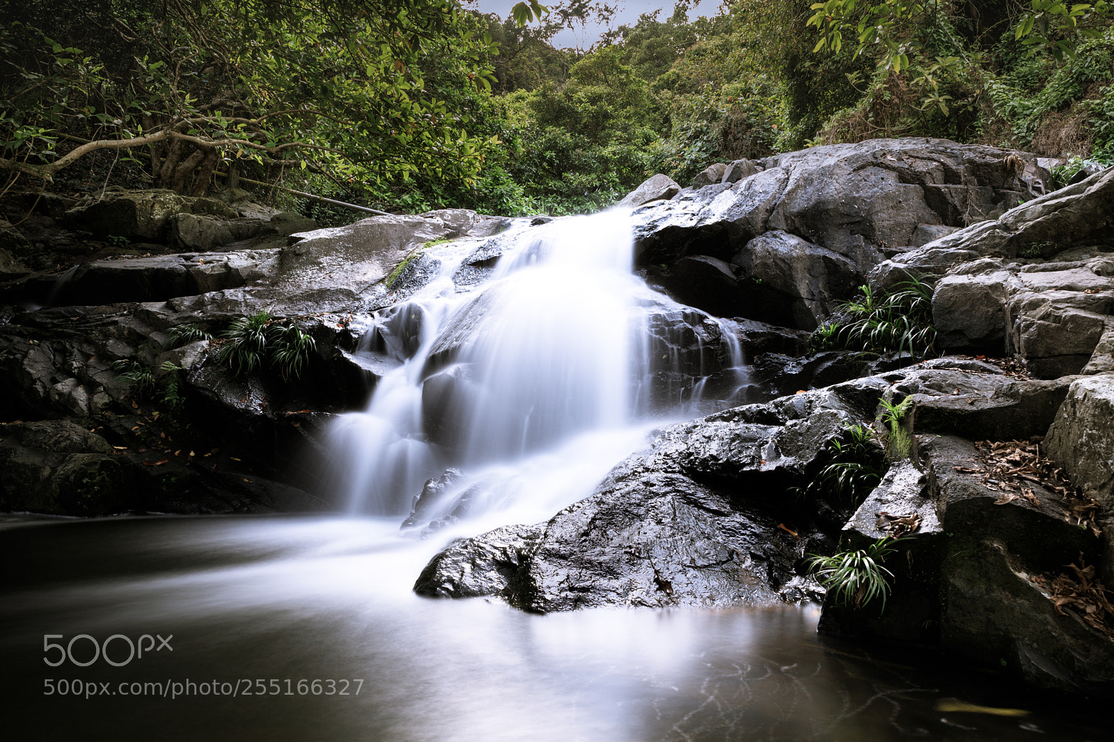 Canon EOS 6D Mark II sample photo. Waterfall in hk 01 photography