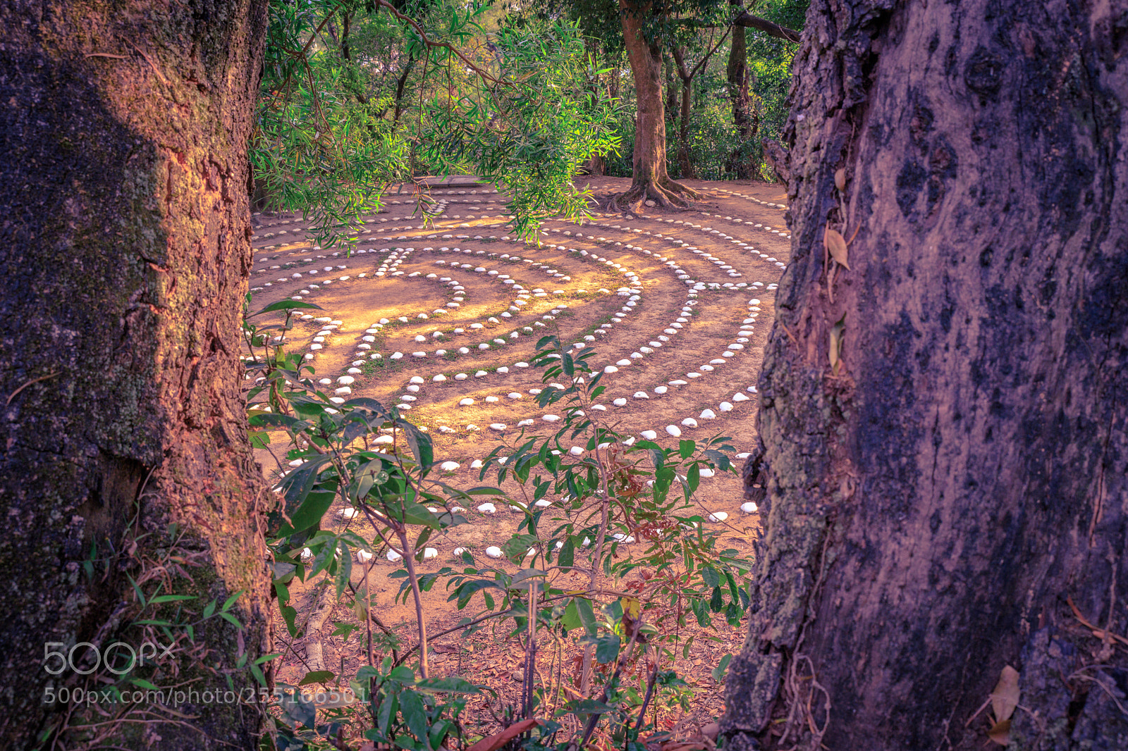 Canon EOS 6D Mark II sample photo. Stone circle maze of photography