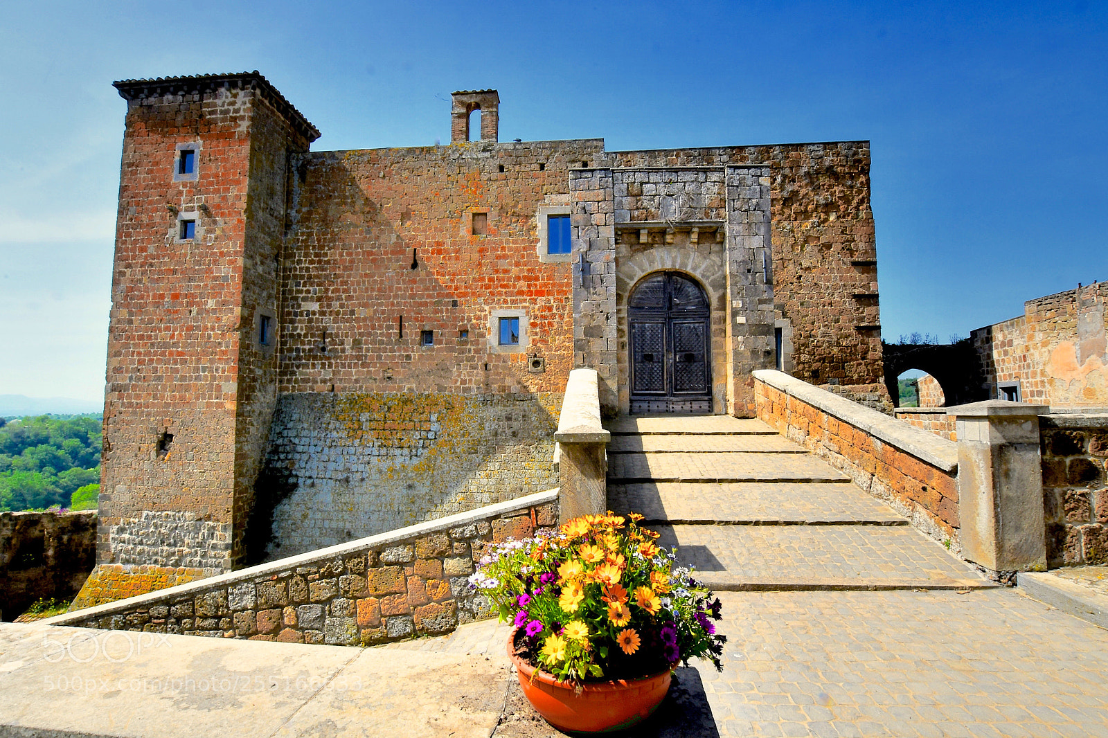 Nikon D7500 sample photo. Al centro dell'attenzione. photography