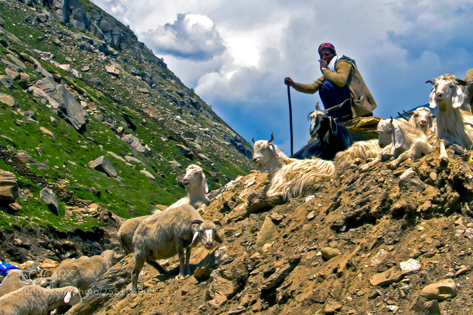 Nikon D300 sample photo. The shepherd and his photography