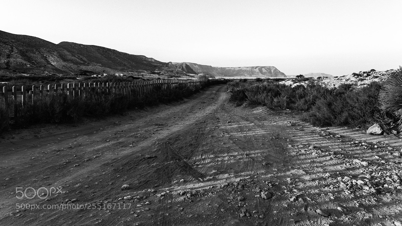 Canon EOS 5D Mark II sample photo. Road of shadows... photography