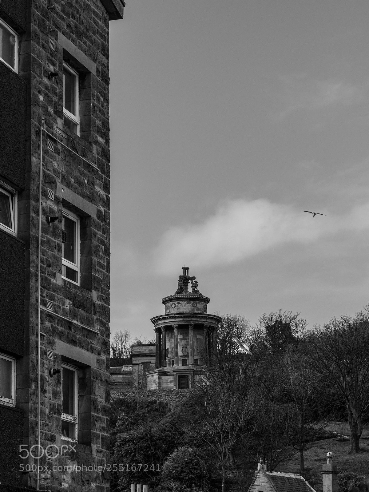 Panasonic Lumix DMC-GX8 sample photo. -1803_royal mile monochrome097097.jpg photography