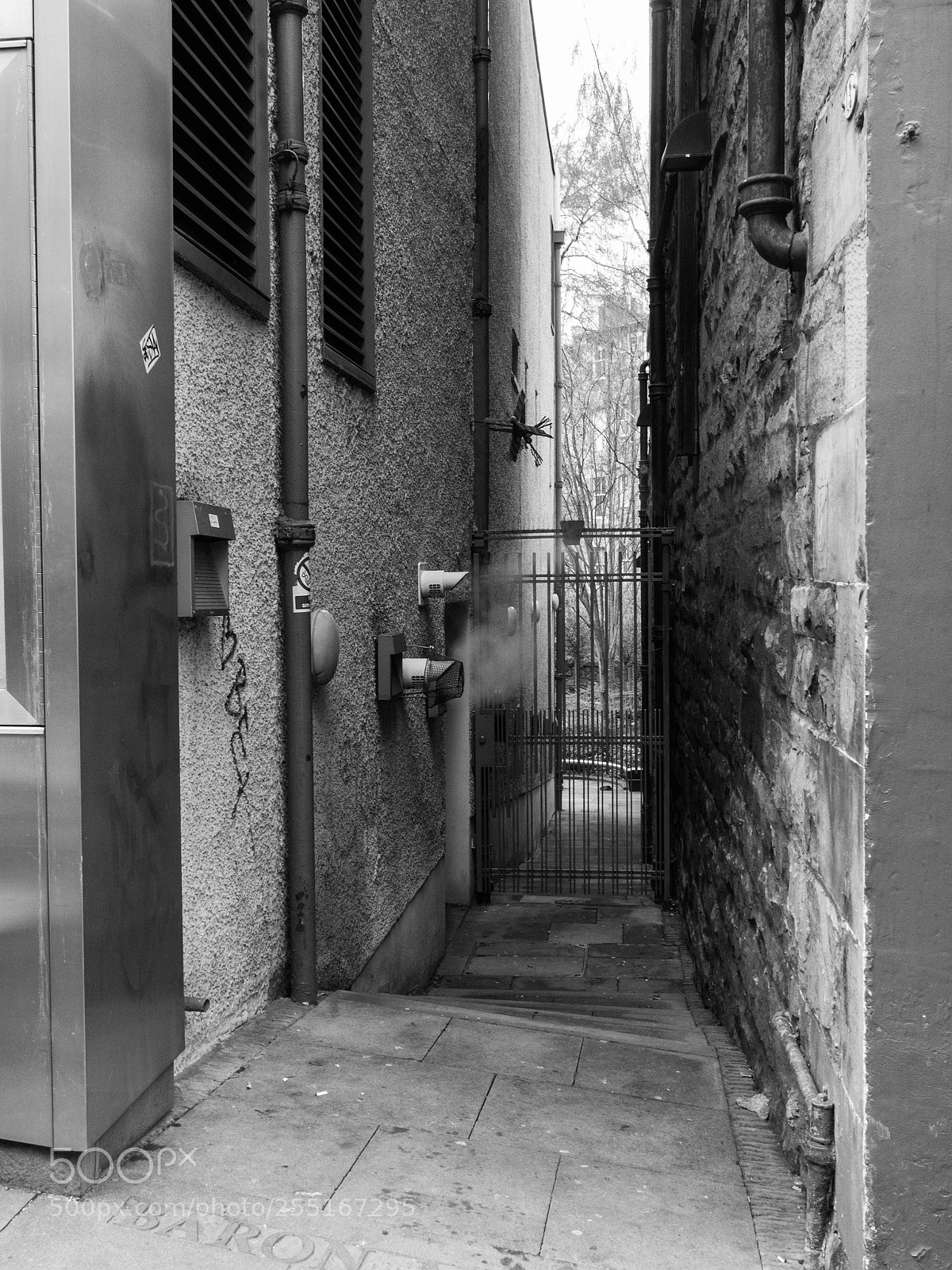Panasonic Lumix DMC-GX8 sample photo. -1803_royal mile monochrome106106.jpg photography