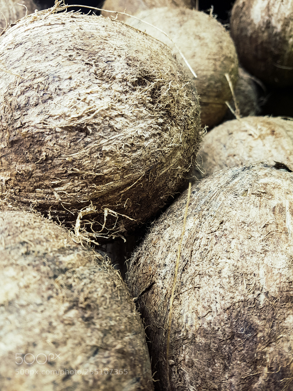 Samsung Galaxy S7 sample photo. Coconuts photography
