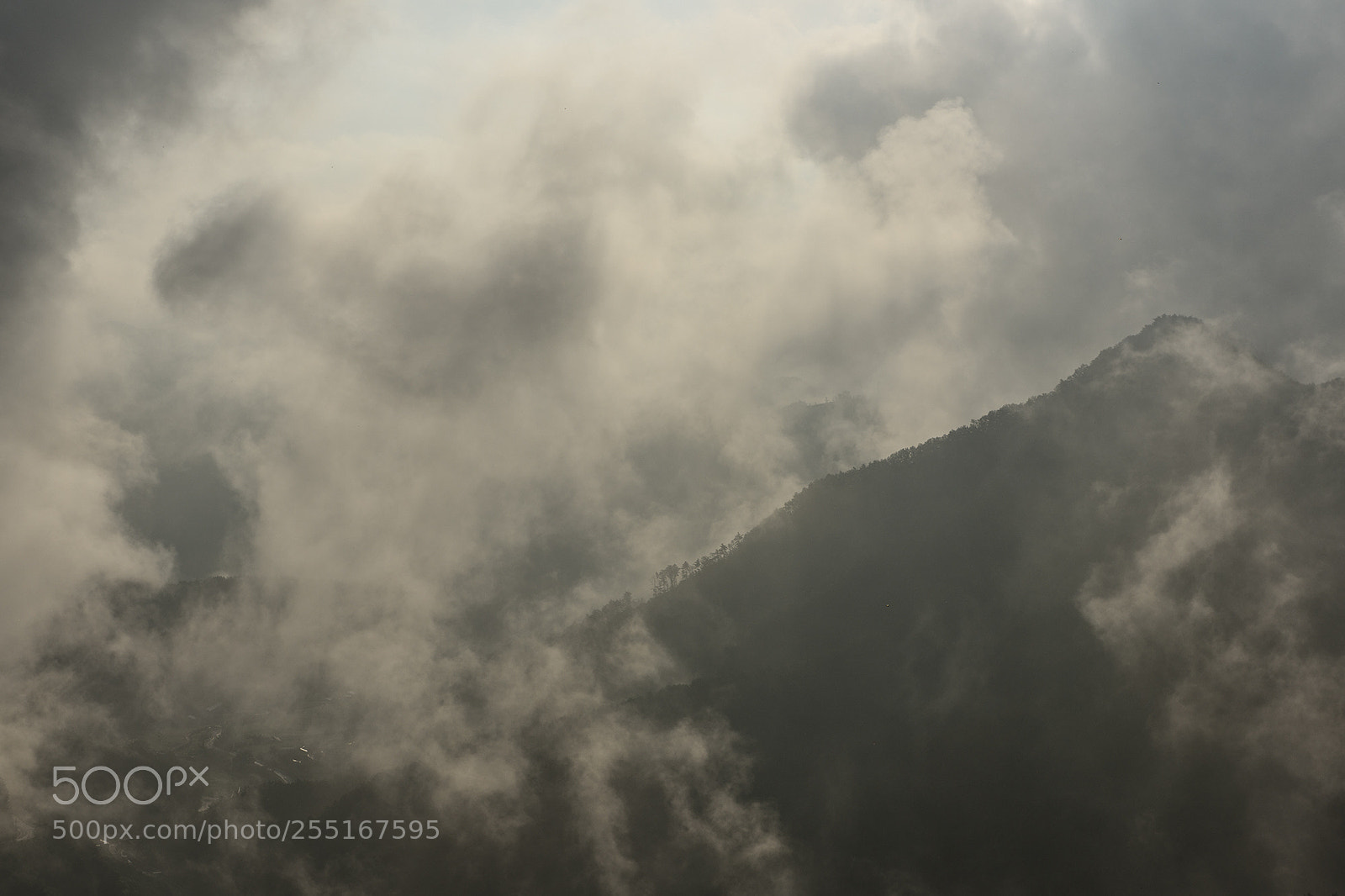 Nikon D810 sample photo. Samcheok, south korea photography