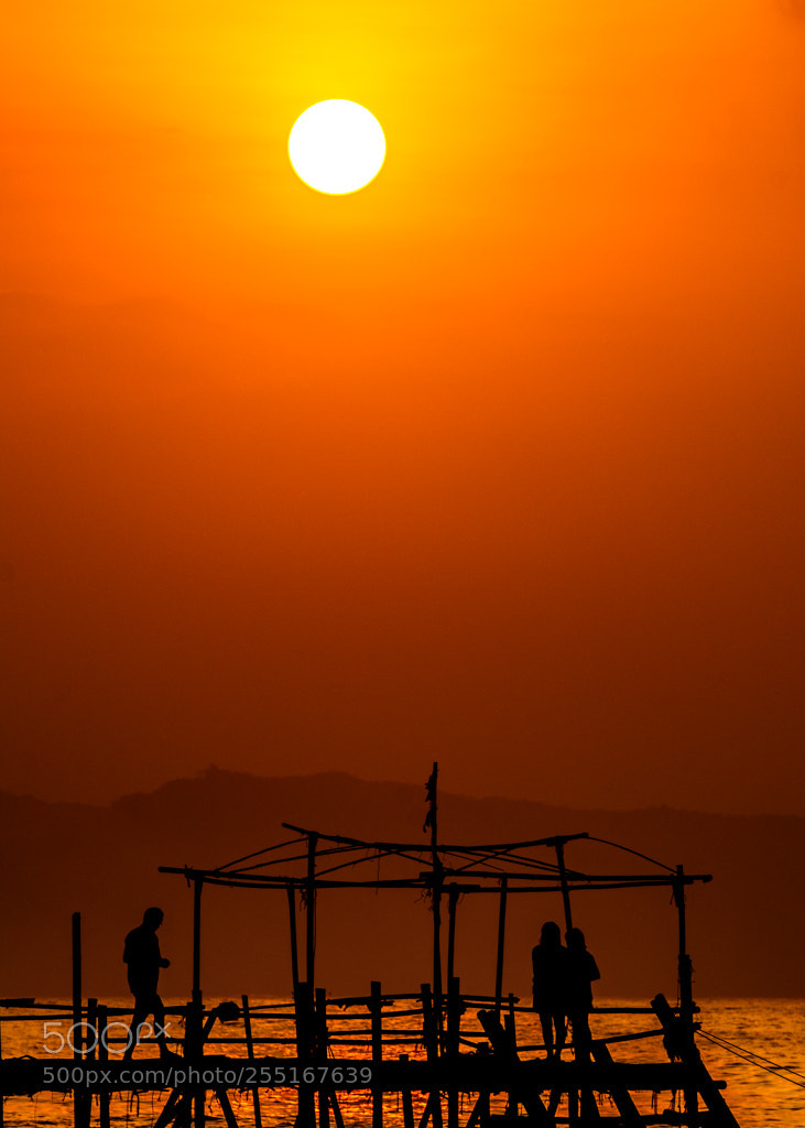 Nikon D7100 sample photo. The red photography