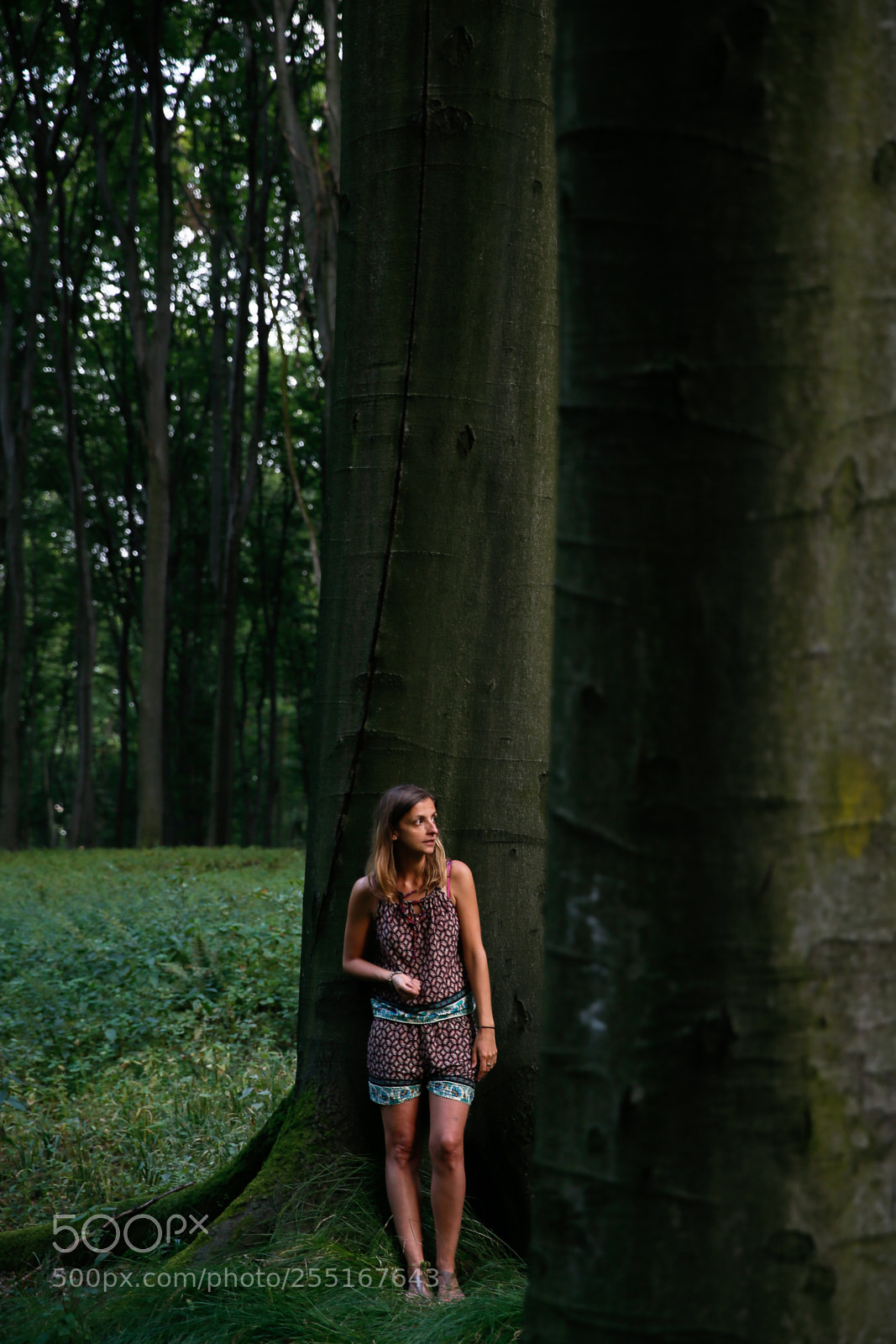 Canon EOS-1D X sample photo. Looking for... photography
