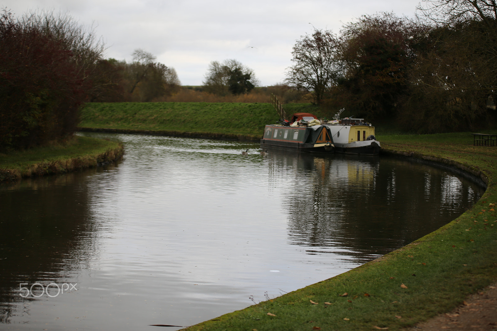Sigma 70-200mm F2.8 EX DG OS HSM sample photo. Tring reservoirs and grand union canal, herts photography