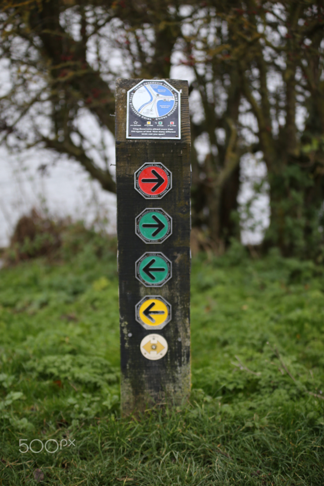 Sigma 70-200mm F2.8 EX DG OS HSM sample photo. Tring reservoirs and grand union canal, herts photography
