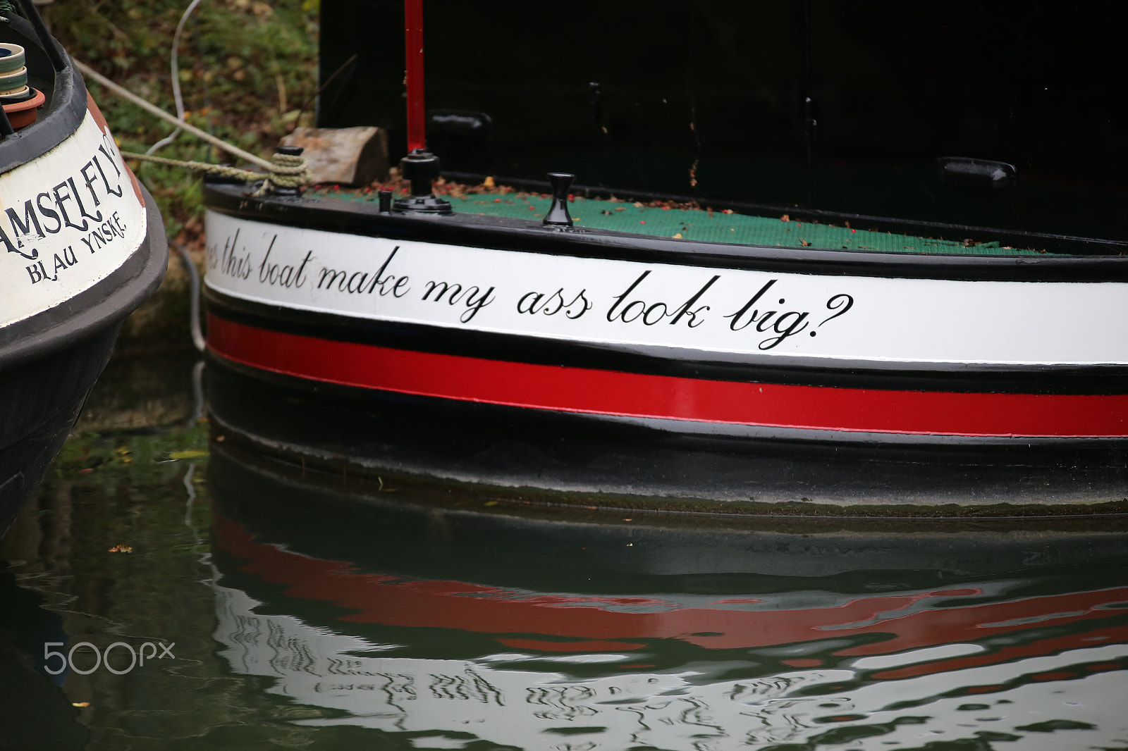 Sigma 70-200mm F2.8 EX DG OS HSM sample photo. Tring reservoirs and grand union canal, herts photography