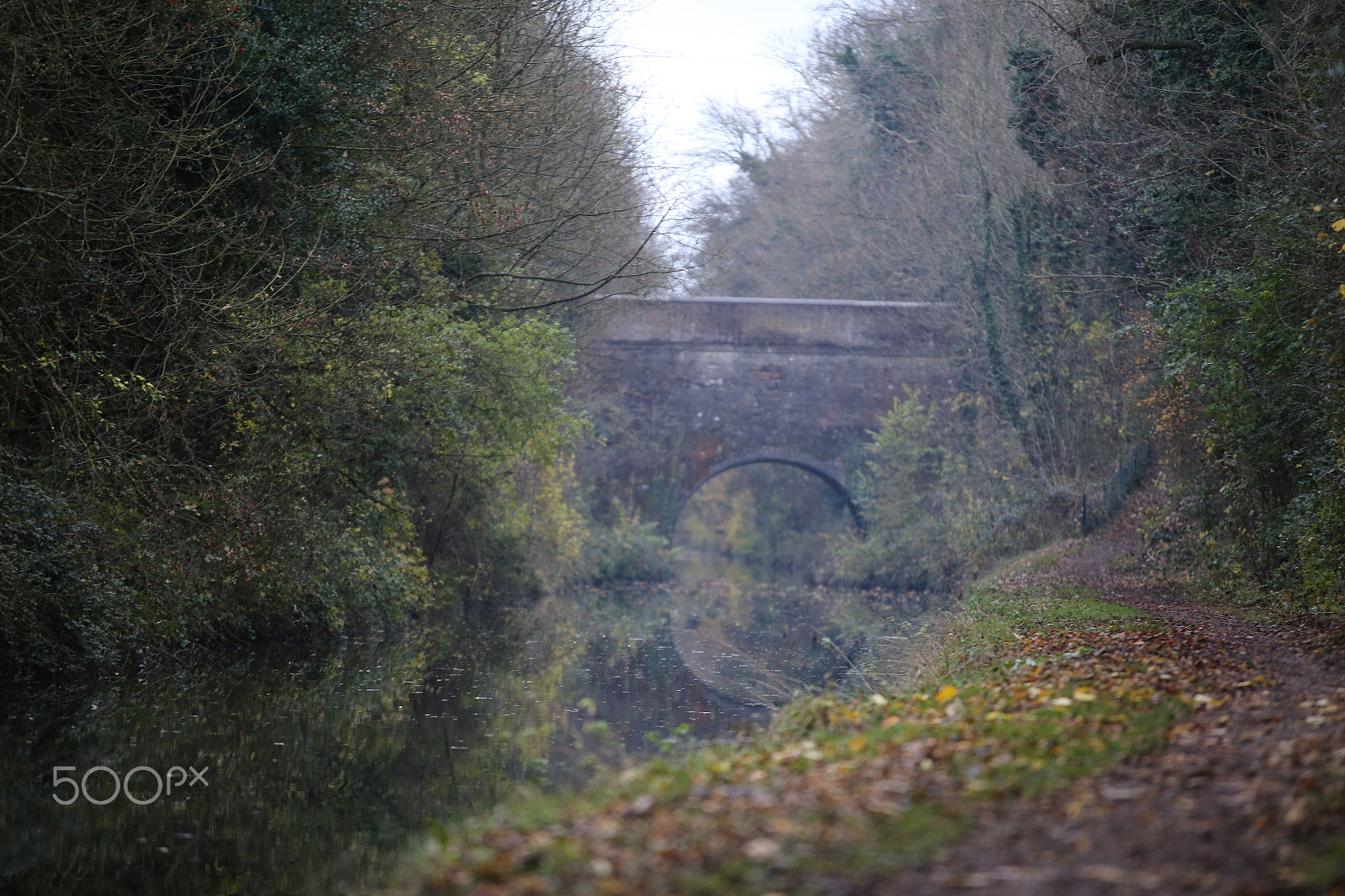 Sigma 70-200mm F2.8 EX DG OS HSM sample photo. Tring reservoirs and grand union canal, herts photography