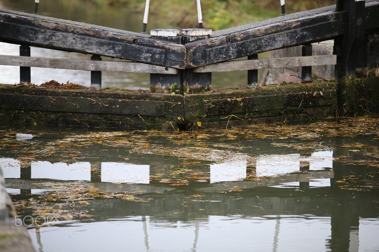 Sigma 70-200mm F2.8 EX DG OS HSM sample photo. Tring reservoirs and grand union canal, herts photography