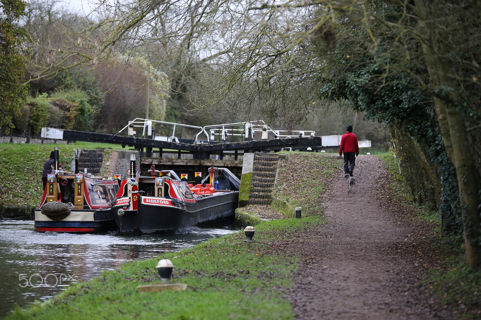 Sigma 70-200mm F2.8 EX DG OS HSM sample photo. Tring reservoirs and grand union canal, herts photography