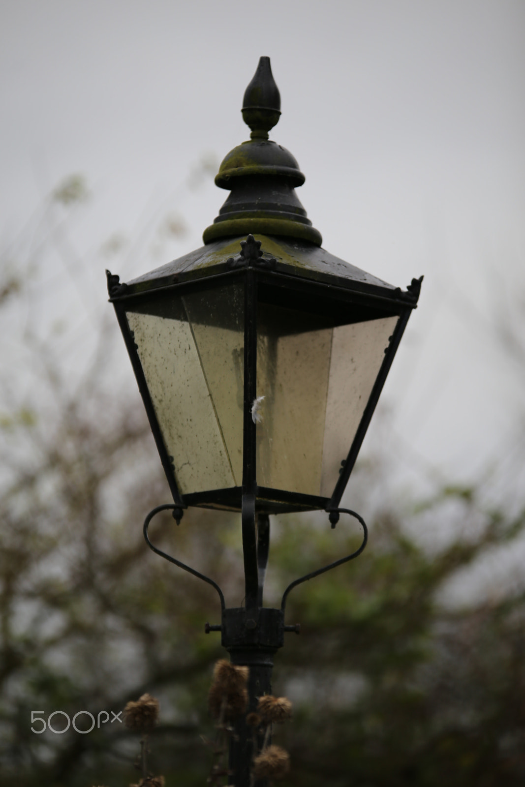 Sigma 70-200mm F2.8 EX DG OS HSM sample photo. Tring reservoirs and grand union canal, herts photography