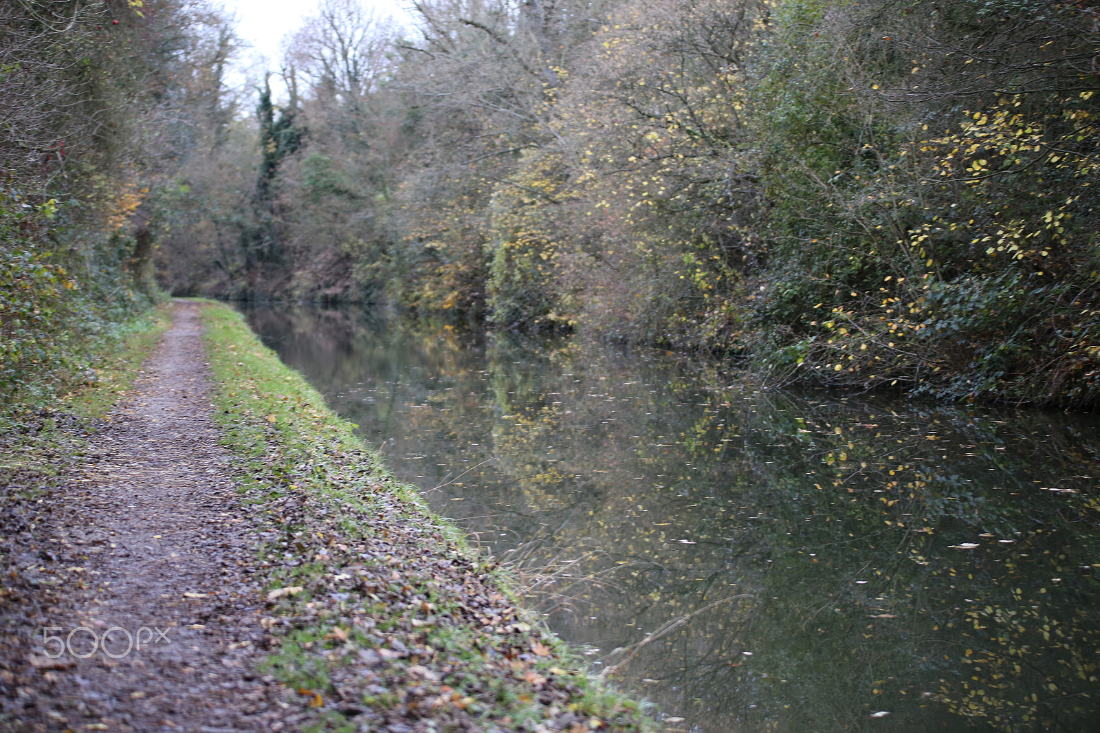 Sigma 70-200mm F2.8 EX DG OS HSM sample photo. Tring reservoirs and grand union canal, herts photography