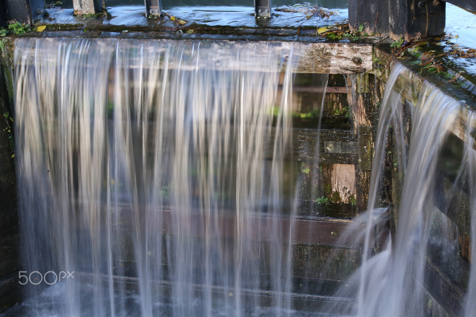 Sigma 70-200mm F2.8 EX DG OS HSM sample photo. Tring reservoirs and grand union canal, herts photography