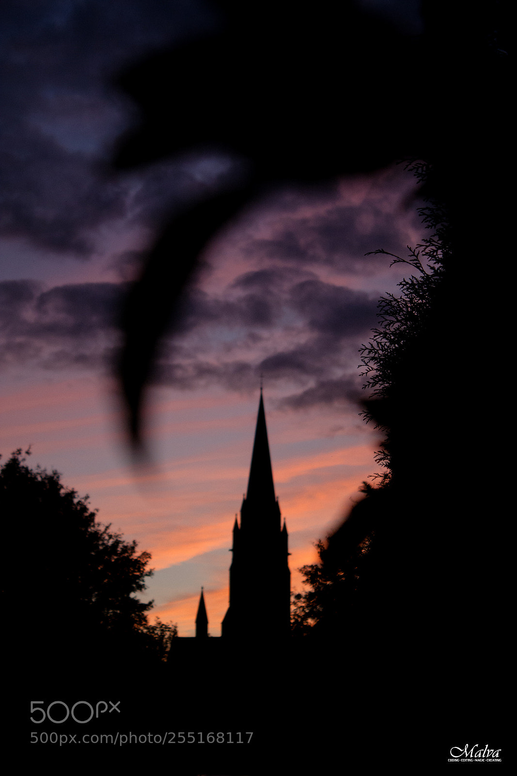 Canon EOS 40D sample photo. Saint mary's cathedral at photography
