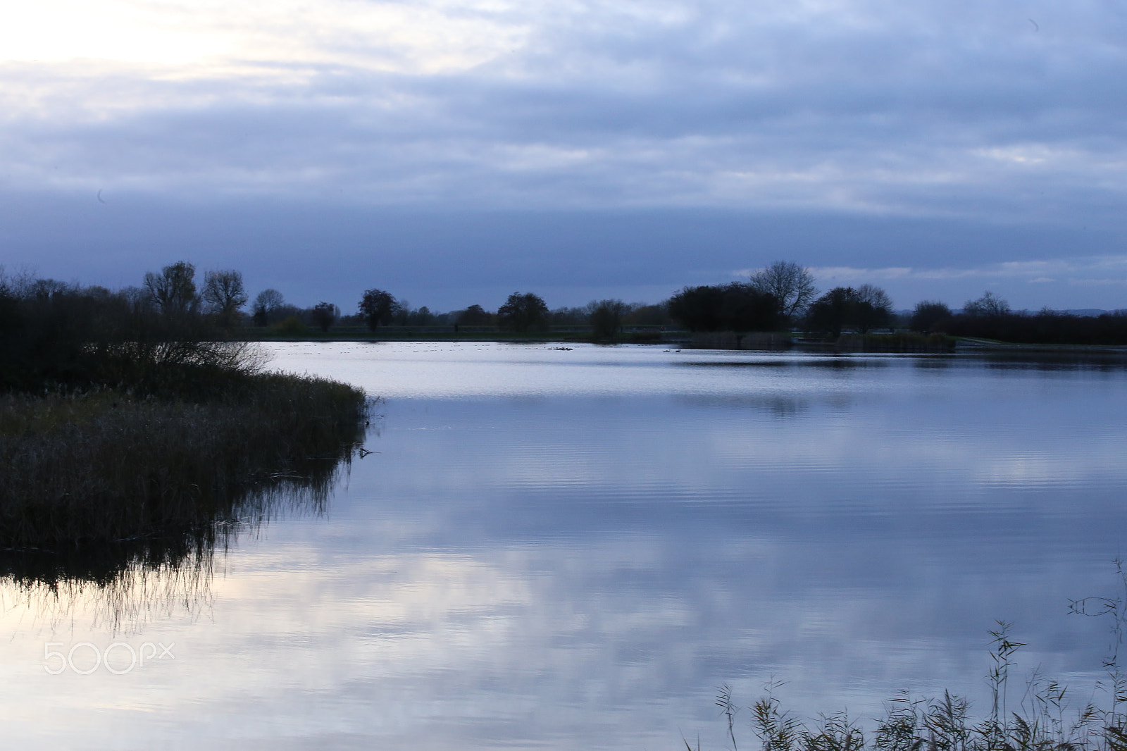 Sigma 70-200mm F2.8 EX DG OS HSM sample photo. Tring reservoirs and grand union canal, herts photography