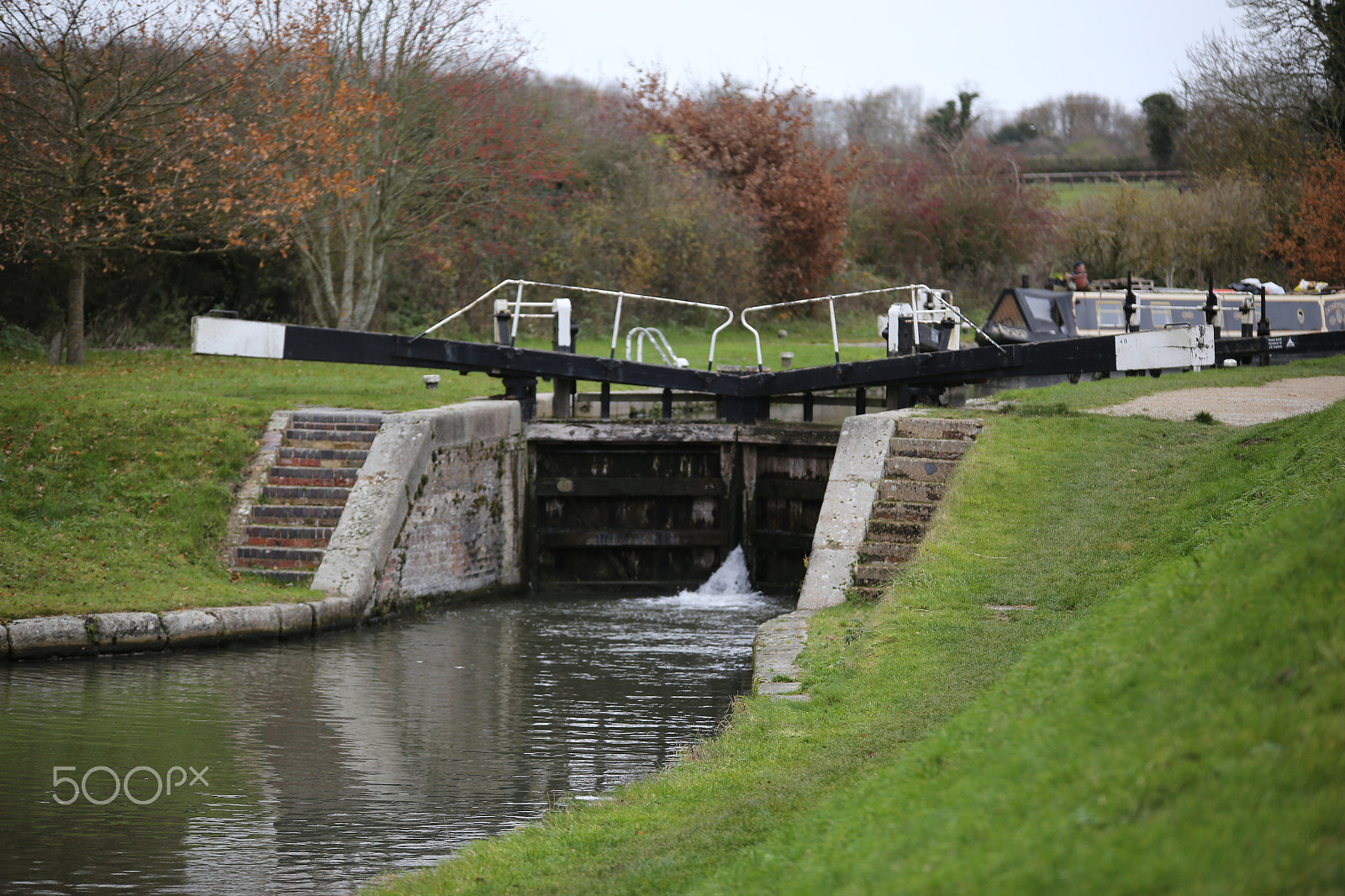 Canon EOS 6D + Sigma 70-200mm F2.8 EX DG OS HSM sample photo. Tring reservoirs and grand union canal, herts photography
