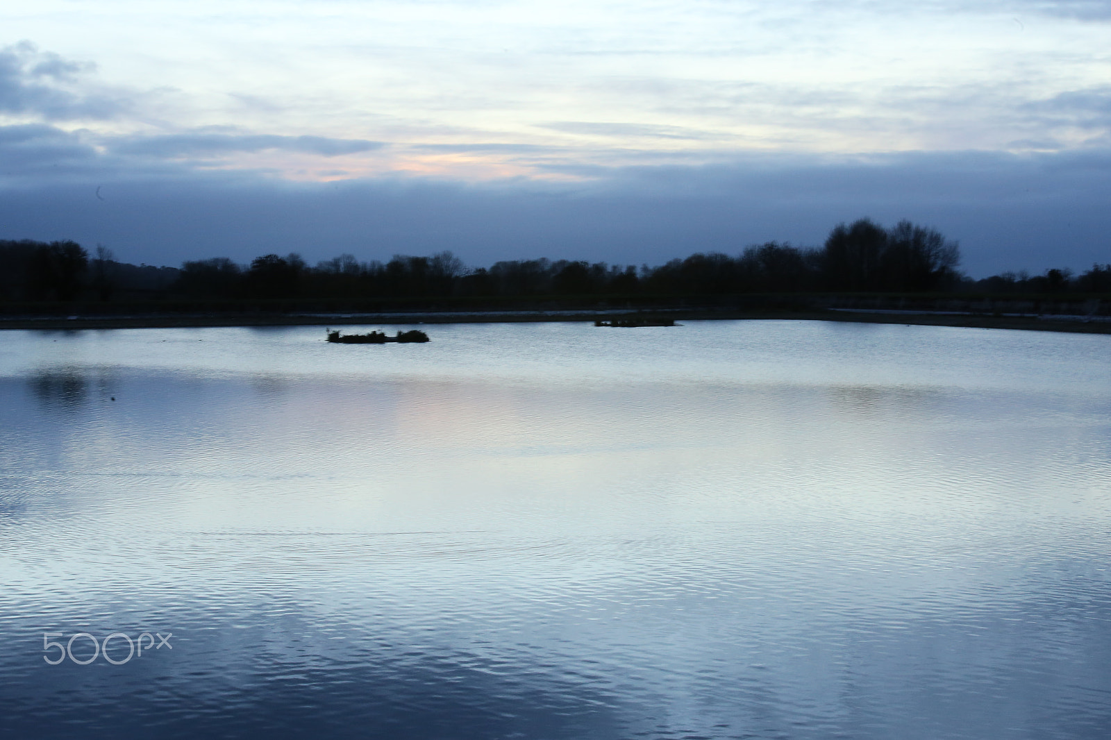 Sigma 70-200mm F2.8 EX DG OS HSM sample photo. Tring reservoirs and grand union canal, herts photography
