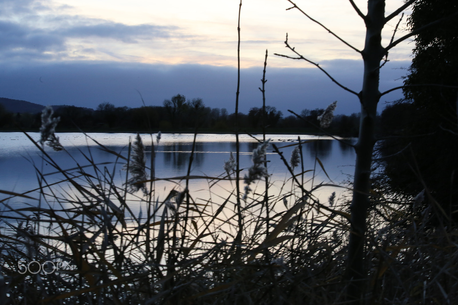 Sigma 70-200mm F2.8 EX DG OS HSM sample photo. Tring reservoirs and grand union canal, herts photography