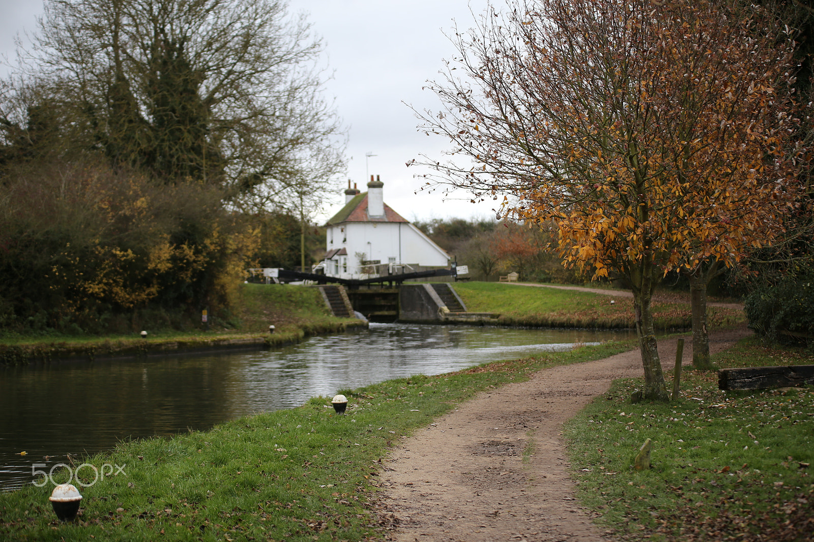 Sigma 70-200mm F2.8 EX DG OS HSM sample photo. Tring reservoirs and grand union canal, herts photography