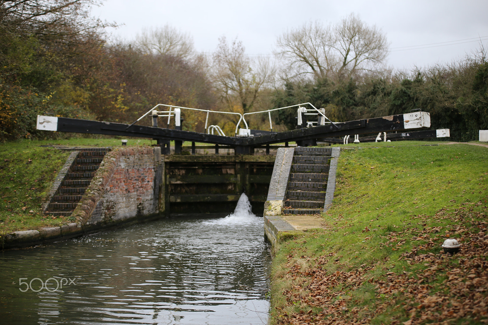 Sigma 70-200mm F2.8 EX DG OS HSM sample photo. Tring reservoirs and grand union canal, herts photography