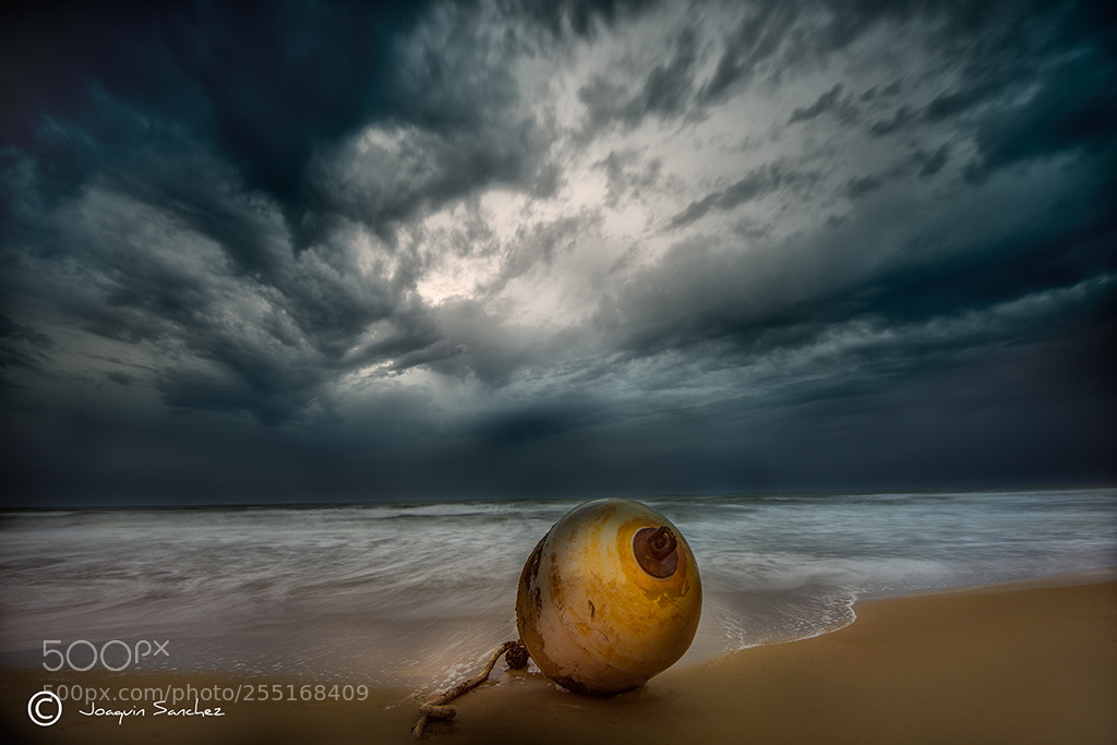 Nikon D800 sample photo. La boya (la mata-torrevieja) photography
