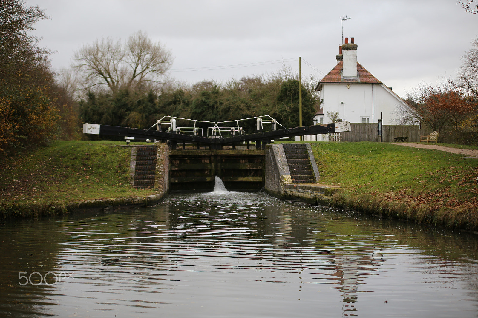 Sigma 70-200mm F2.8 EX DG OS HSM sample photo. Tring reservoirs and grand union canal, herts photography