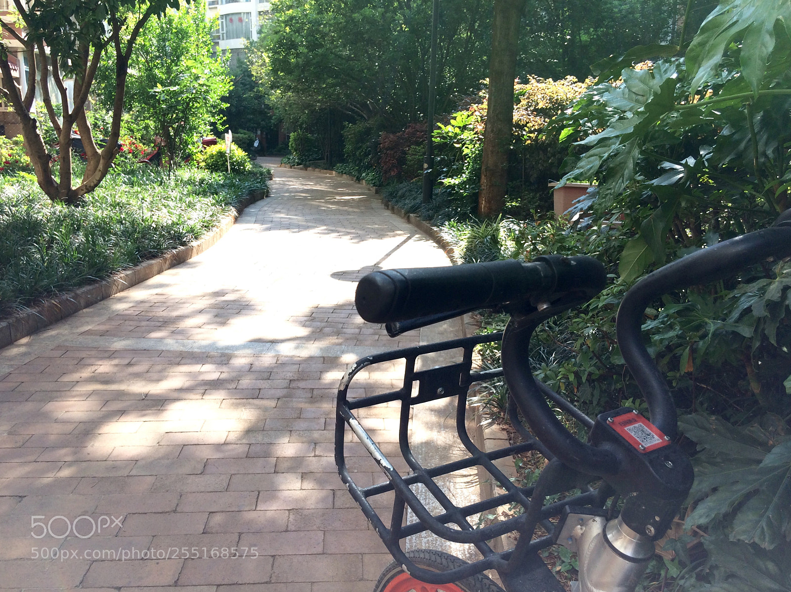Apple iPhone 5s sample photo. Untitled photography