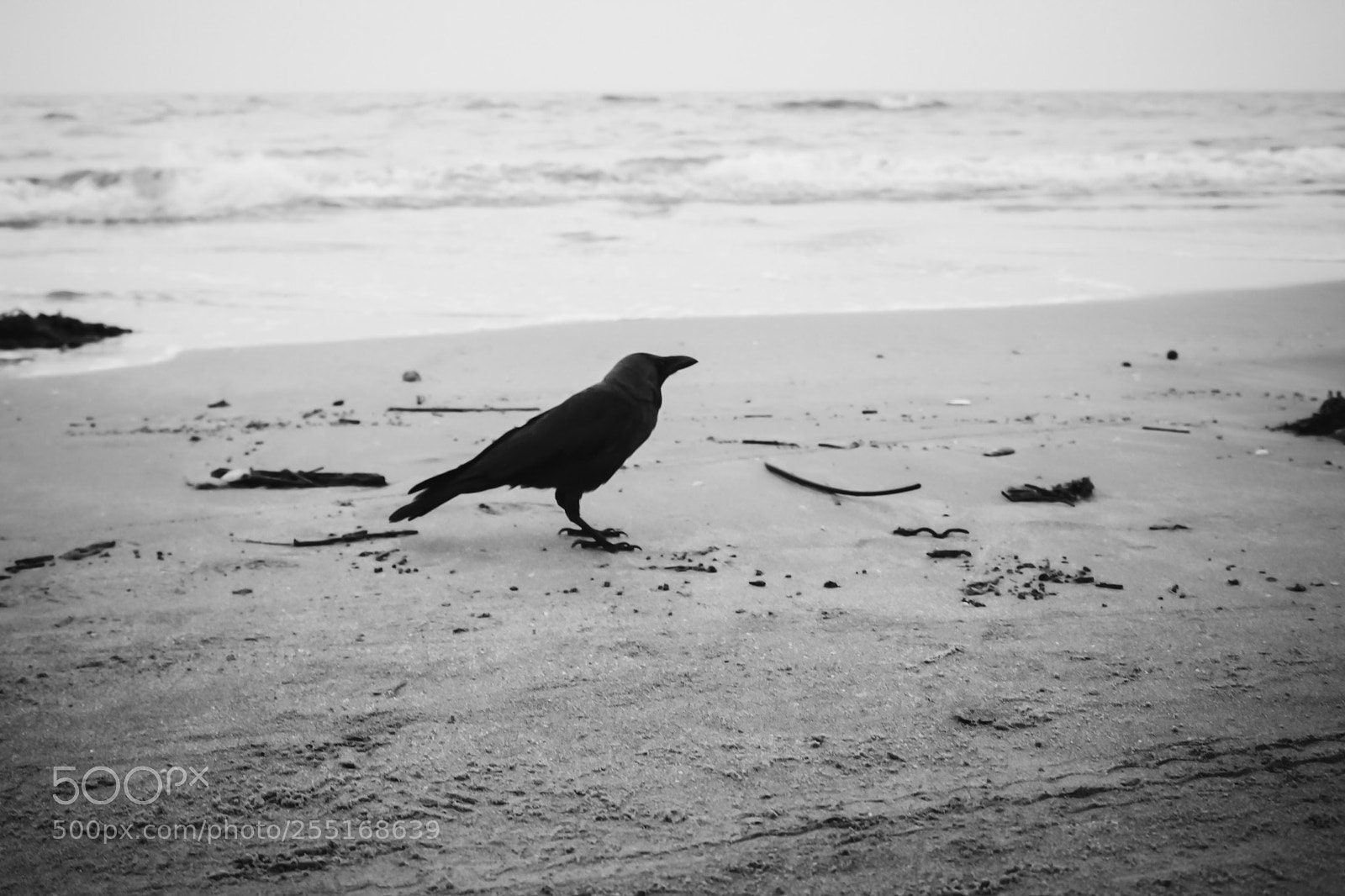 Canon EOS 700D (EOS Rebel T5i / EOS Kiss X7i) sample photo. Solitude photography