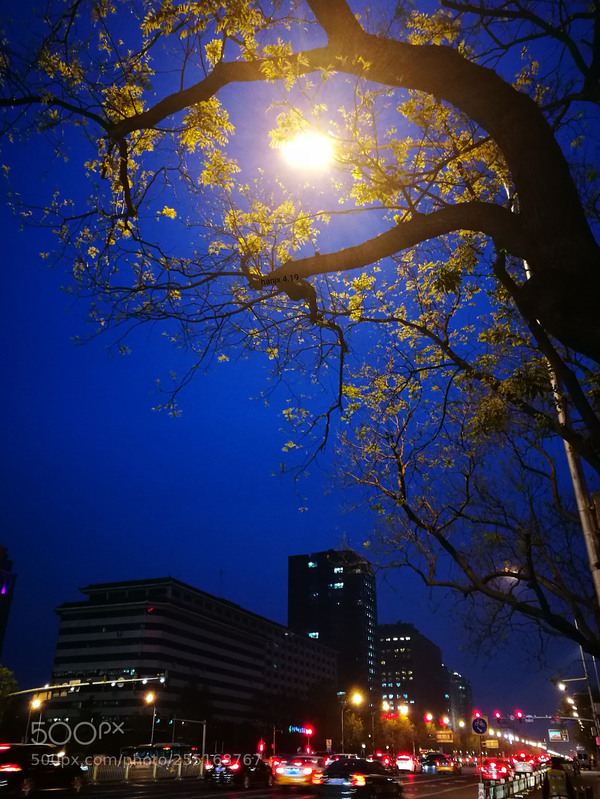 HUAWEI P9 sample photo. Untitled photography