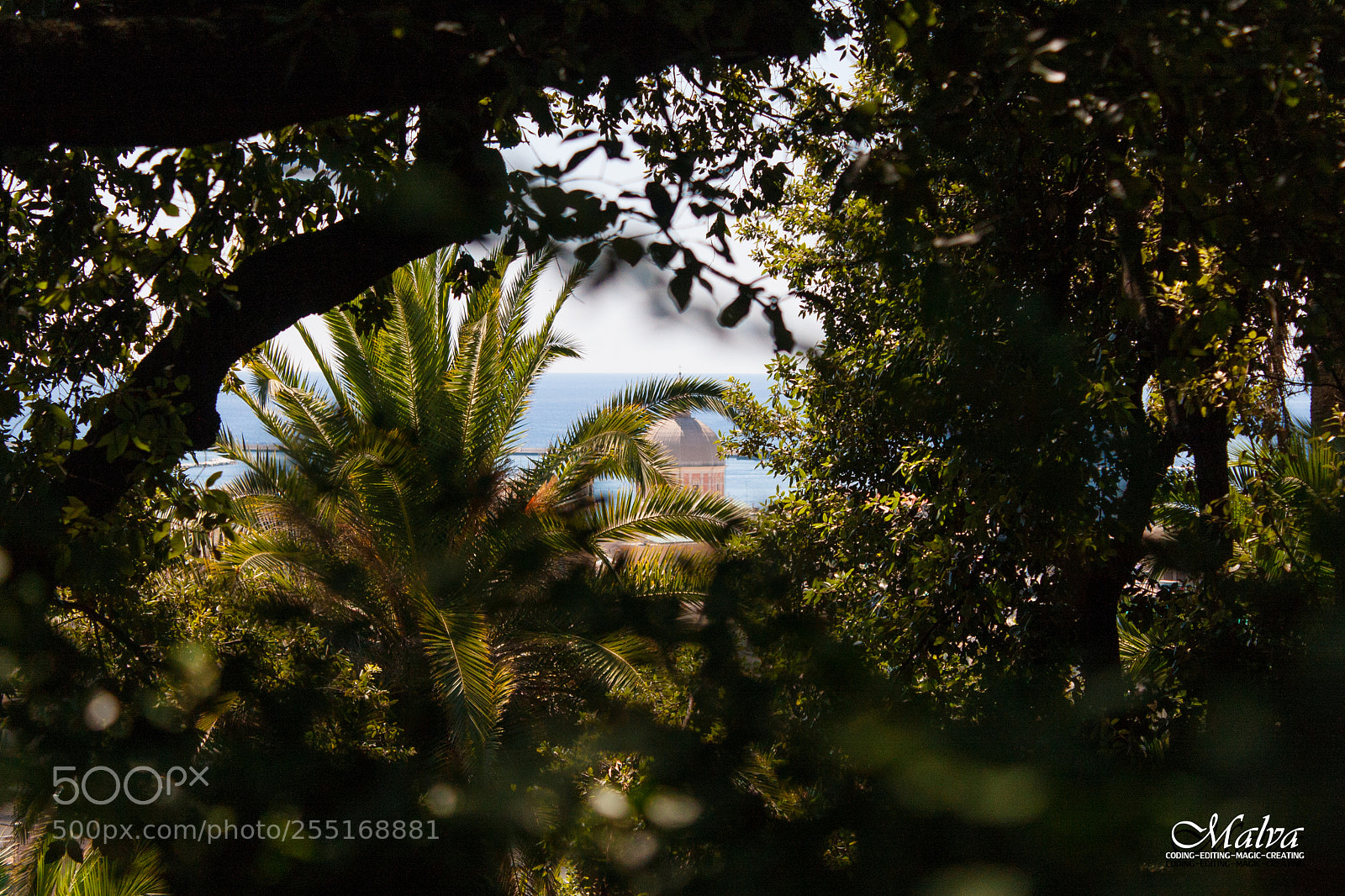 Canon EOS 40D sample photo. Villa durazzo pallavicini photography