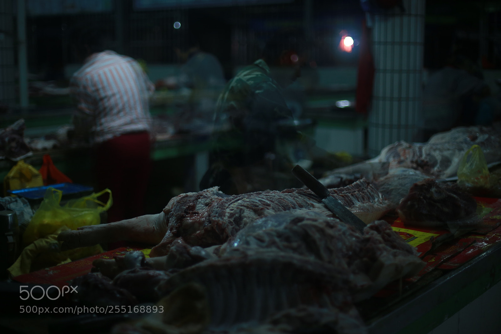 Canon EOS 6D + Canon EF 50mm F1.4 USM sample photo. Untitled photography