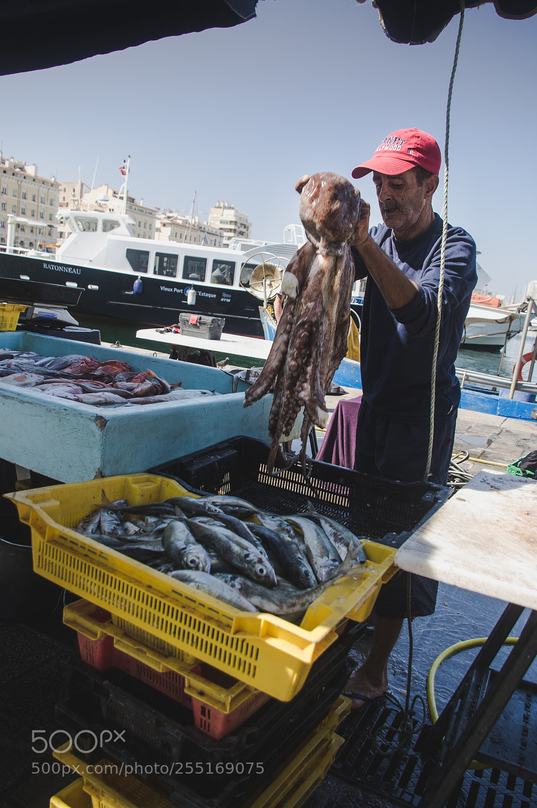 Pentax K-r sample photo. Fish market photography