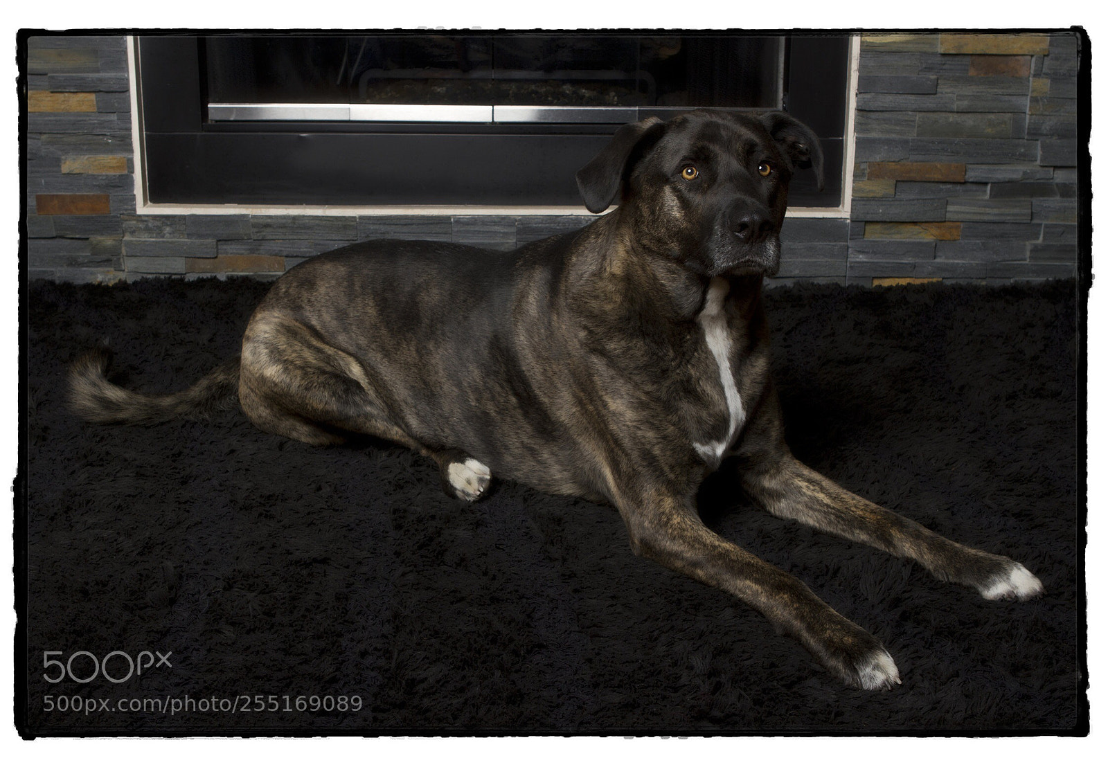Canon EOS 7D sample photo. Bentley. photography
