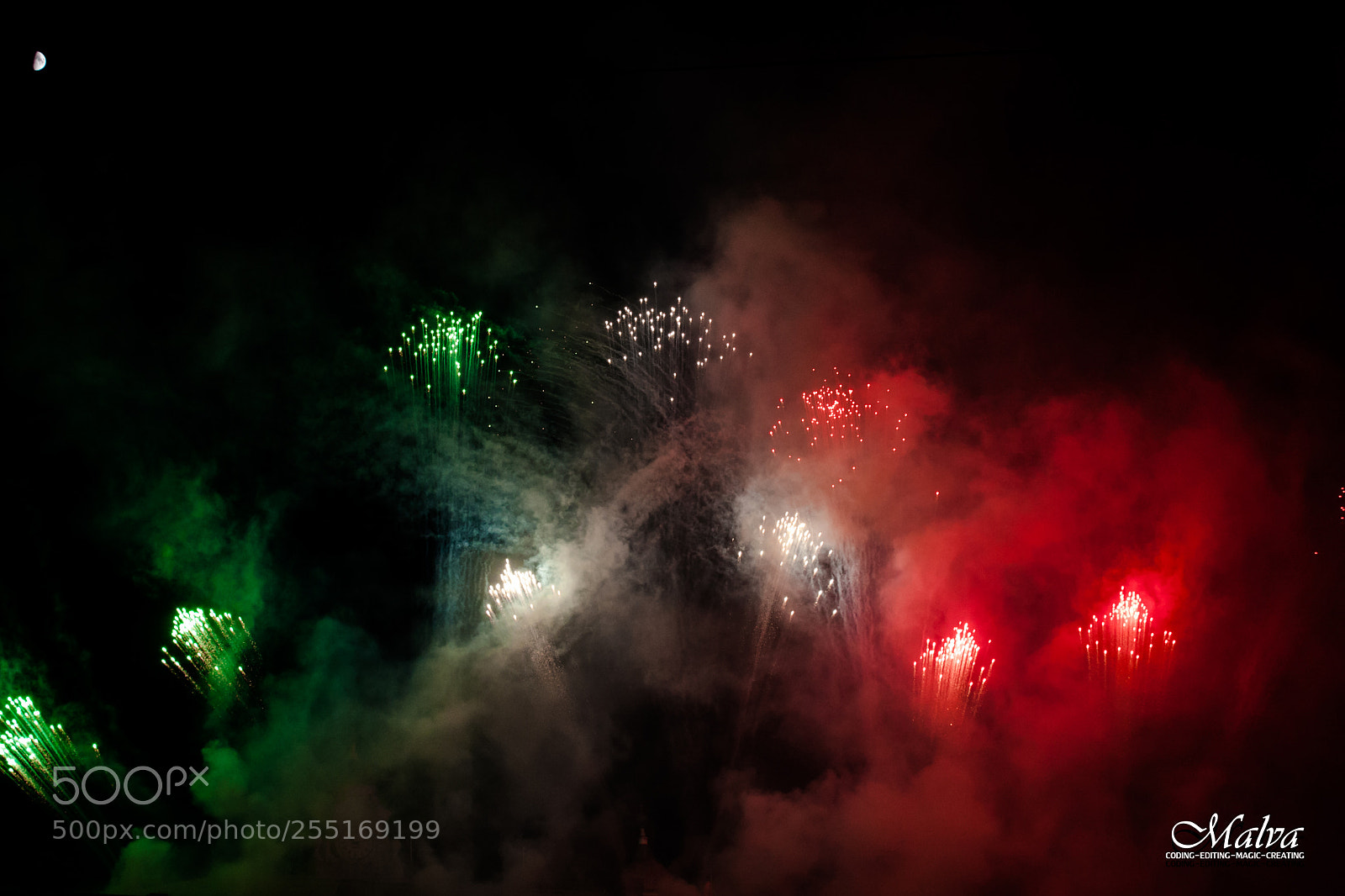 Canon EOS 40D sample photo. Festa della repubblica photography