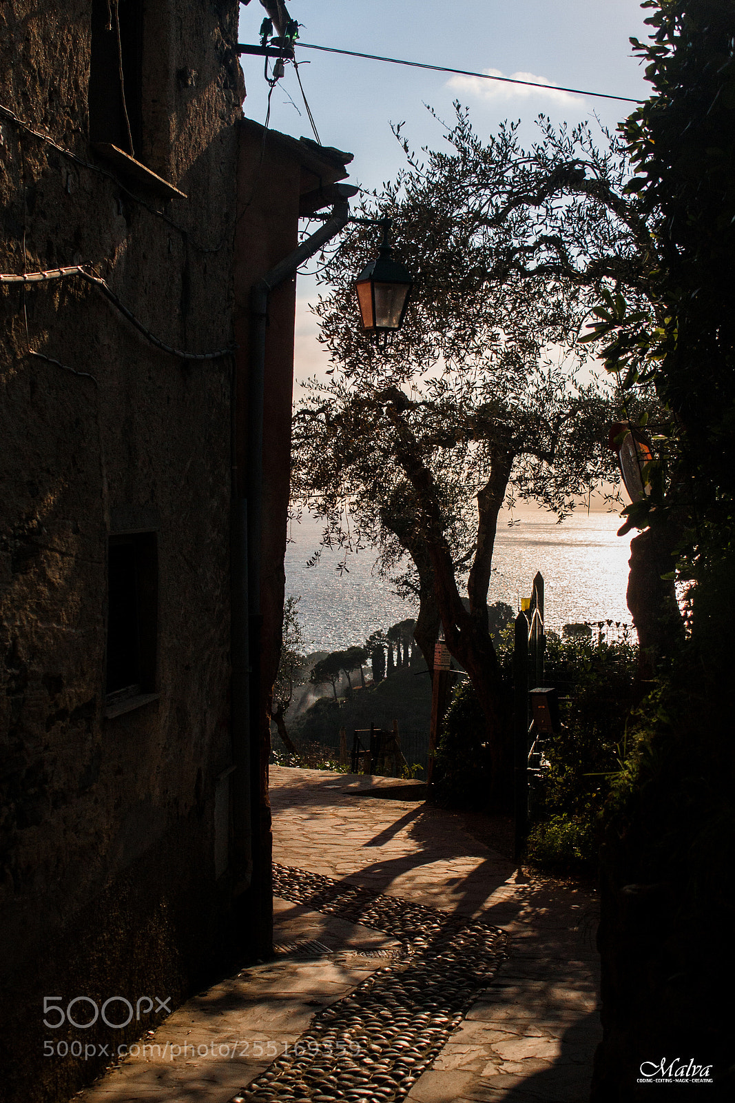 Canon EOS 40D sample photo. Portofino - piccolo borgo photography