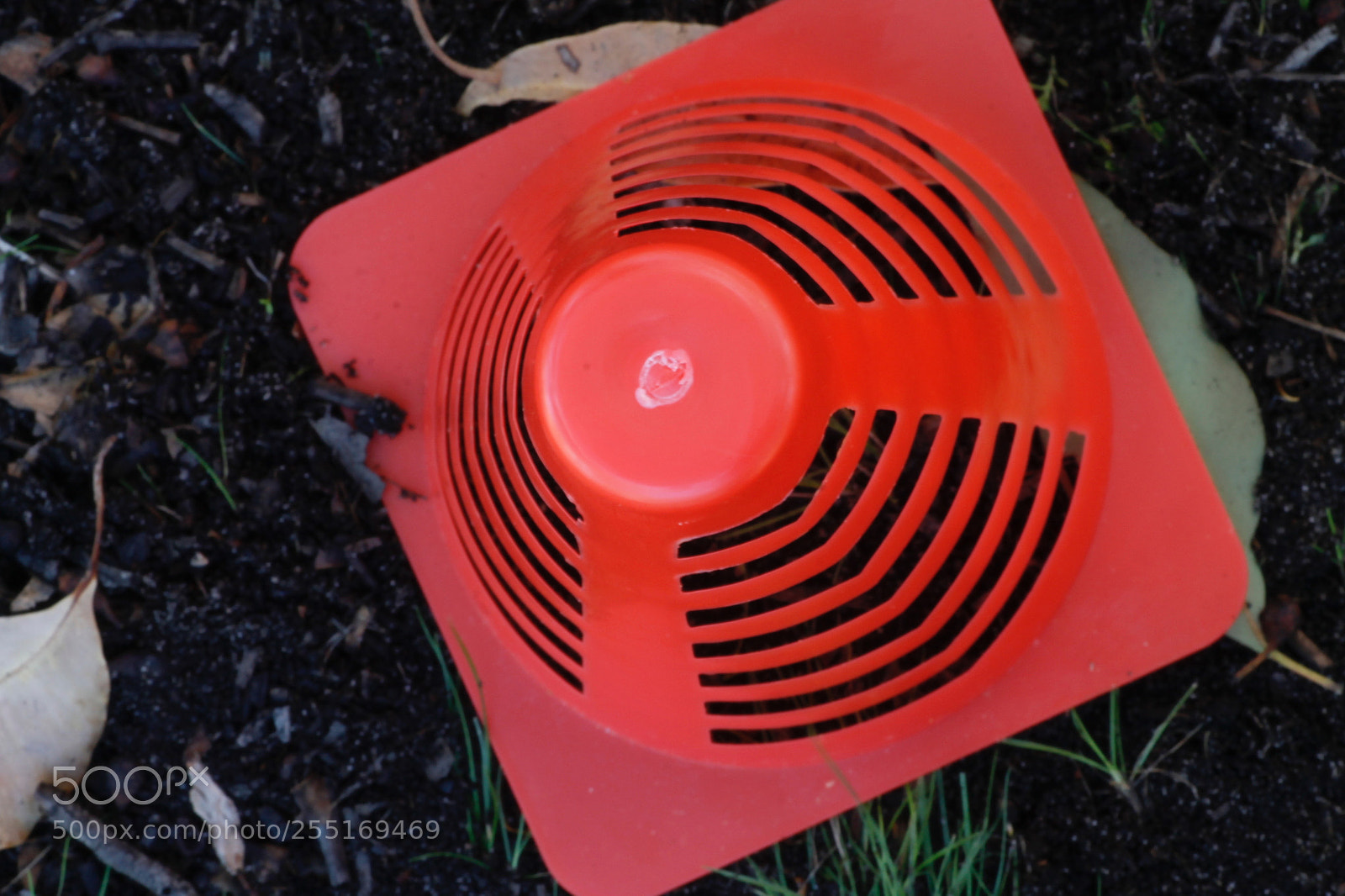 Canon EOS 1100D (EOS Rebel T3 / EOS Kiss X50) sample photo. Footy cone photography