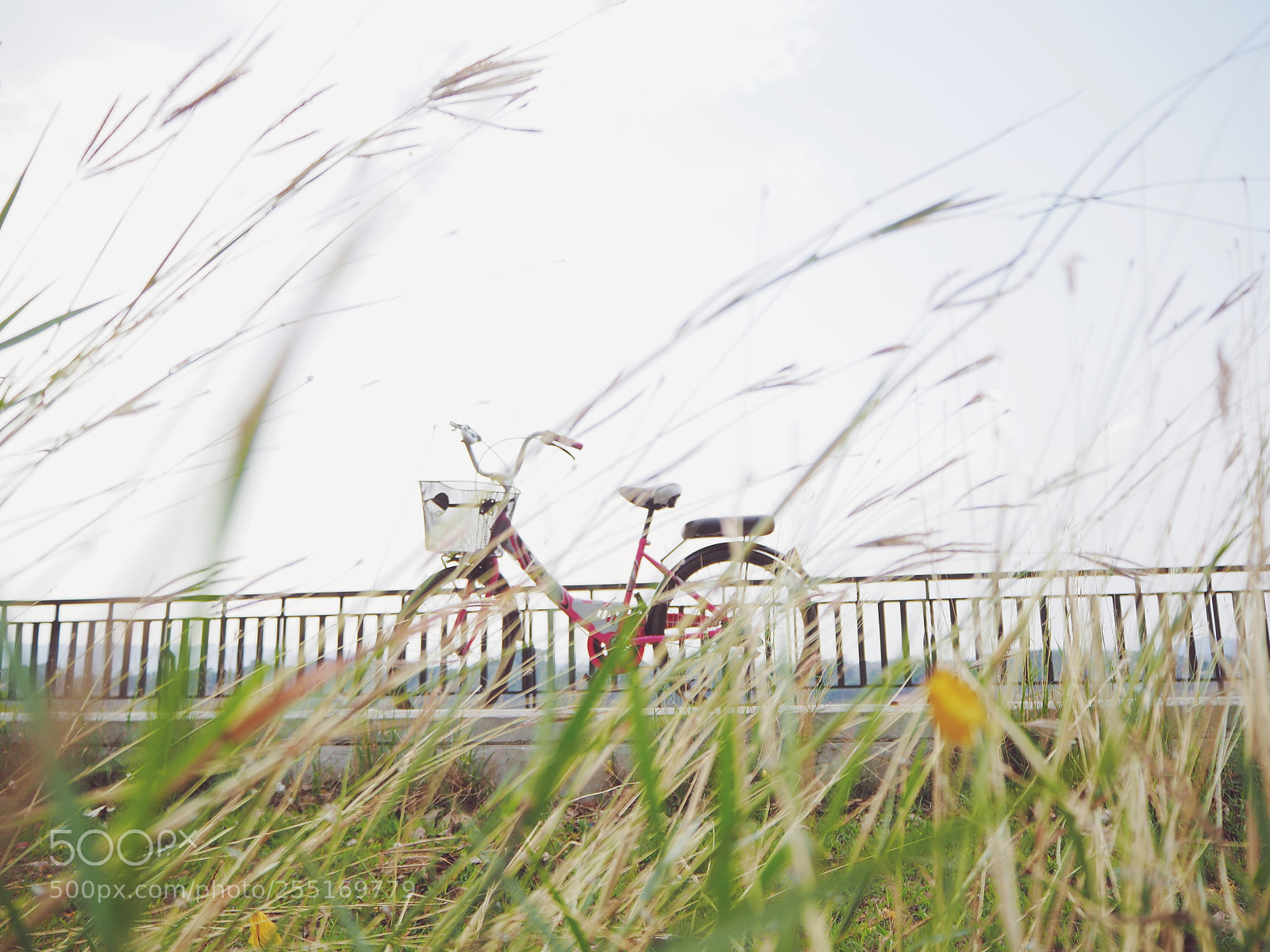 Olympus OM-D E-M10 II sample photo. Ride photography