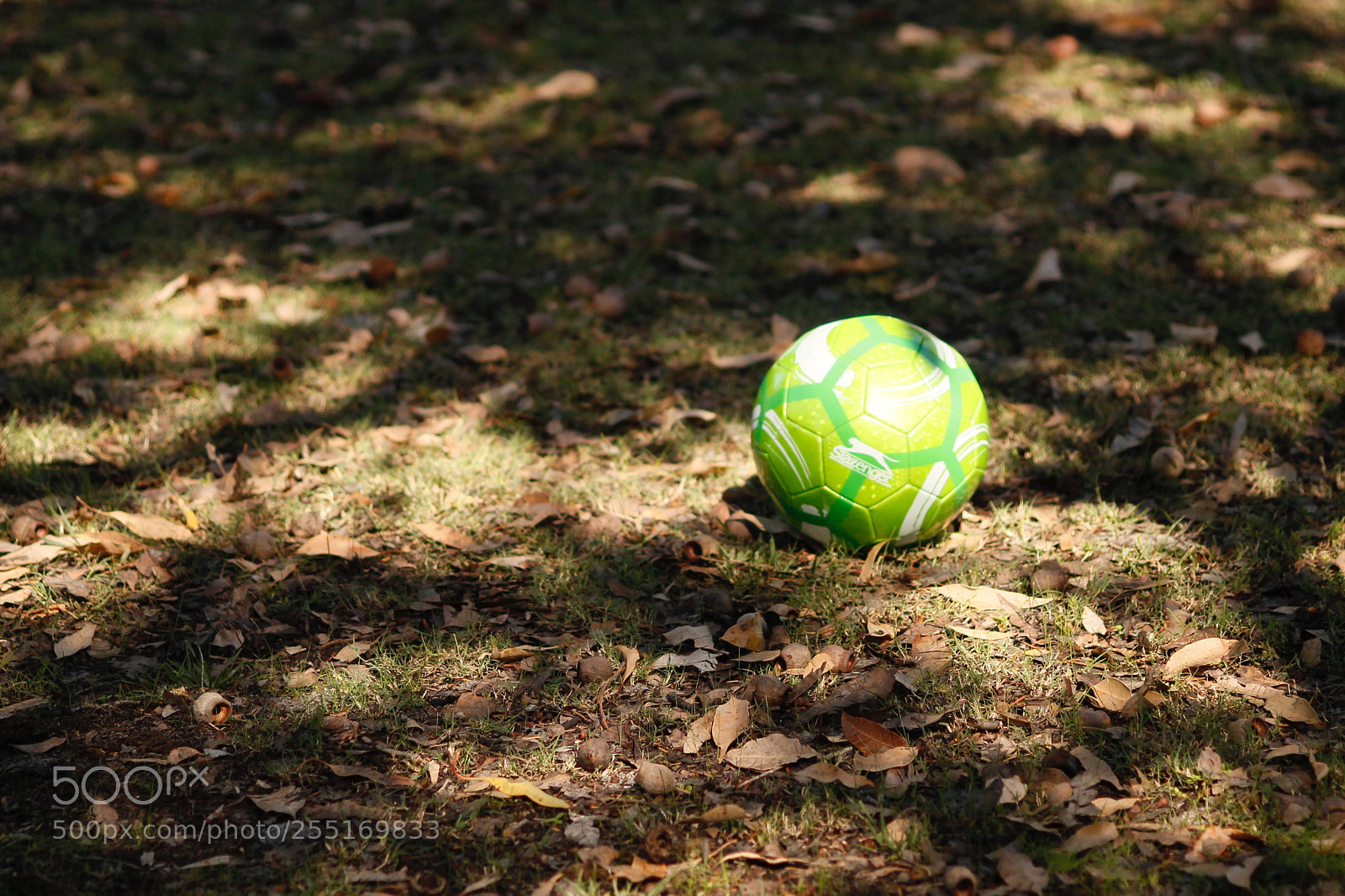 Canon EOS 1100D (EOS Rebel T3 / EOS Kiss X50) sample photo. Lone ball photography
