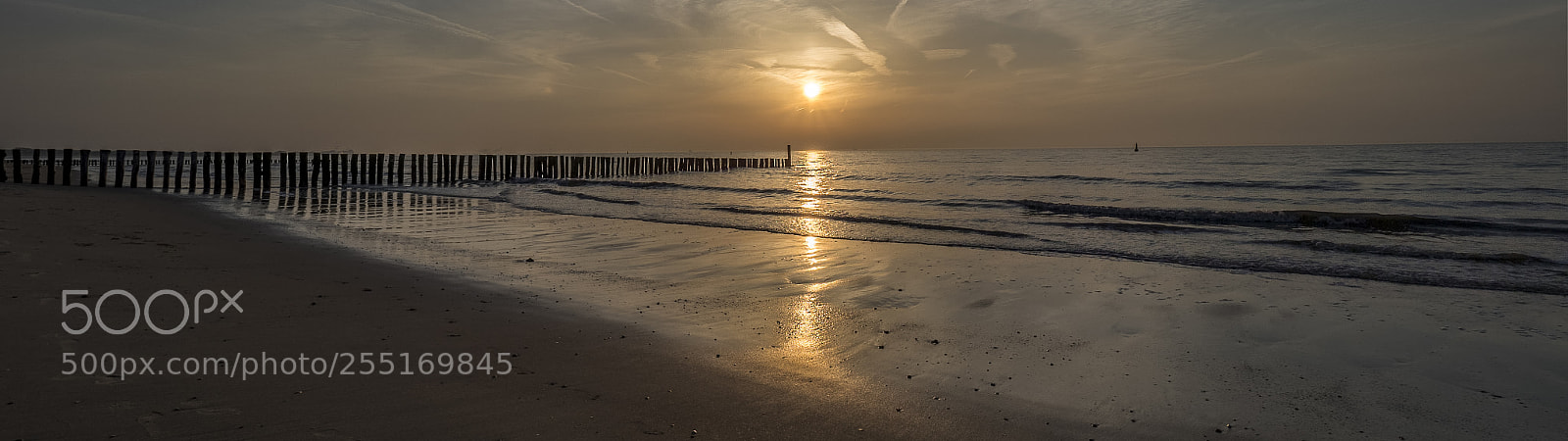 Olympus OM-D E-M1 Mark II sample photo. Don't let the sun photography