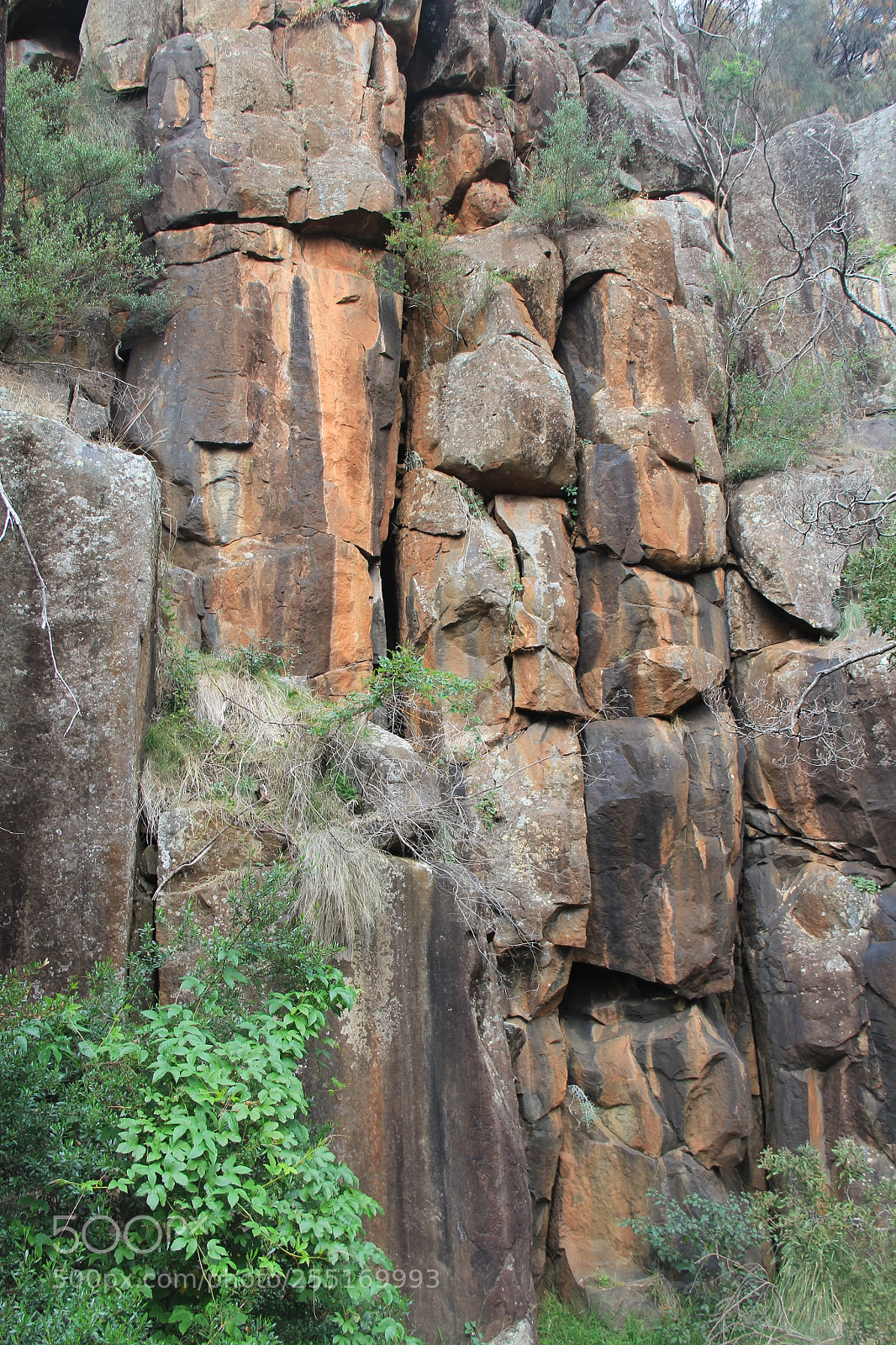 Canon EOS 60D sample photo. The gorge photography