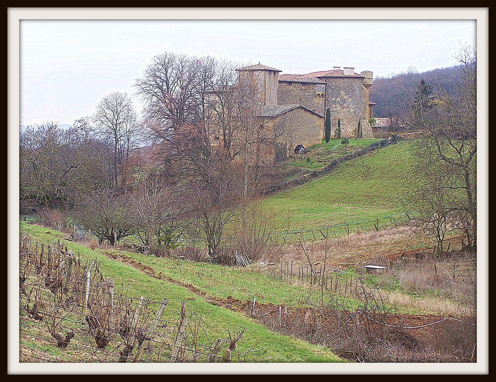 Kodak Z740 ZOOM DIGITAL CAMERA sample photo. Beaujolais () france couleur photography